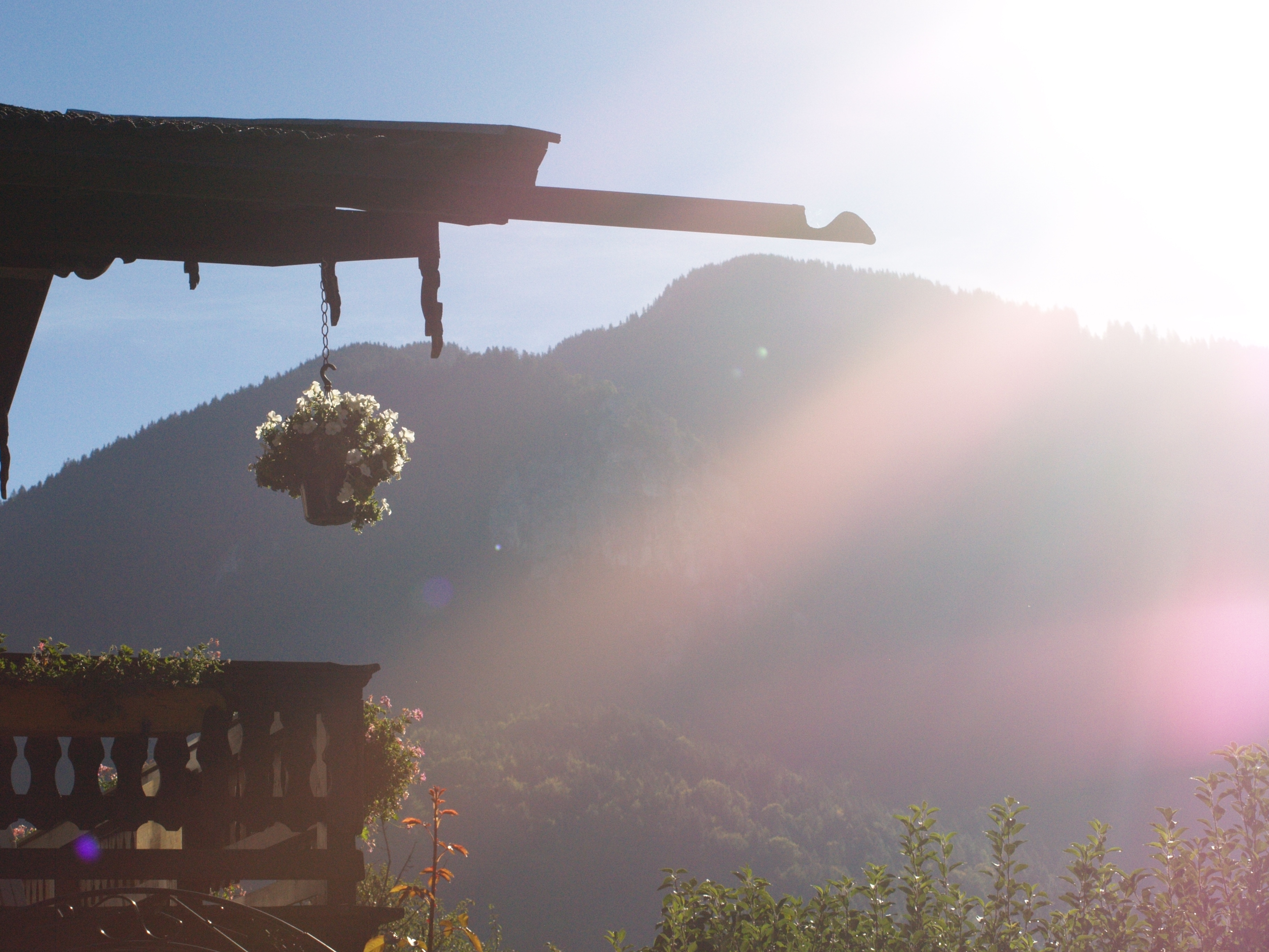 Ausblick vom Balkon