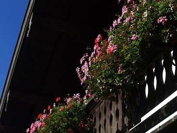 Balkon mit Blumen